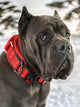 Red Heavy Duty tactical Dog Collar
