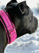 Pink Heavy Duty Tactical  Dog Collar